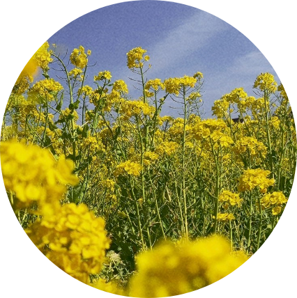 経営理念イメージ写真