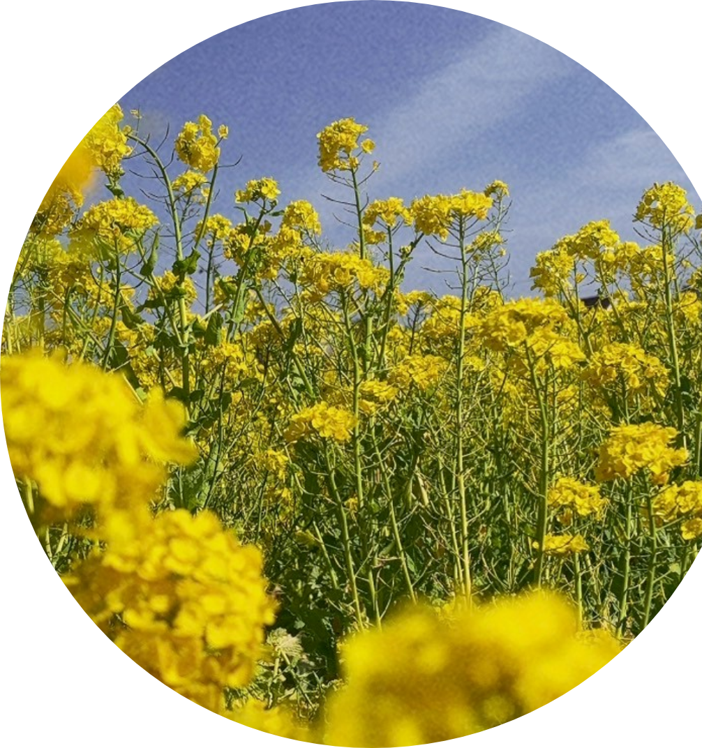 経営理念イメージ写真