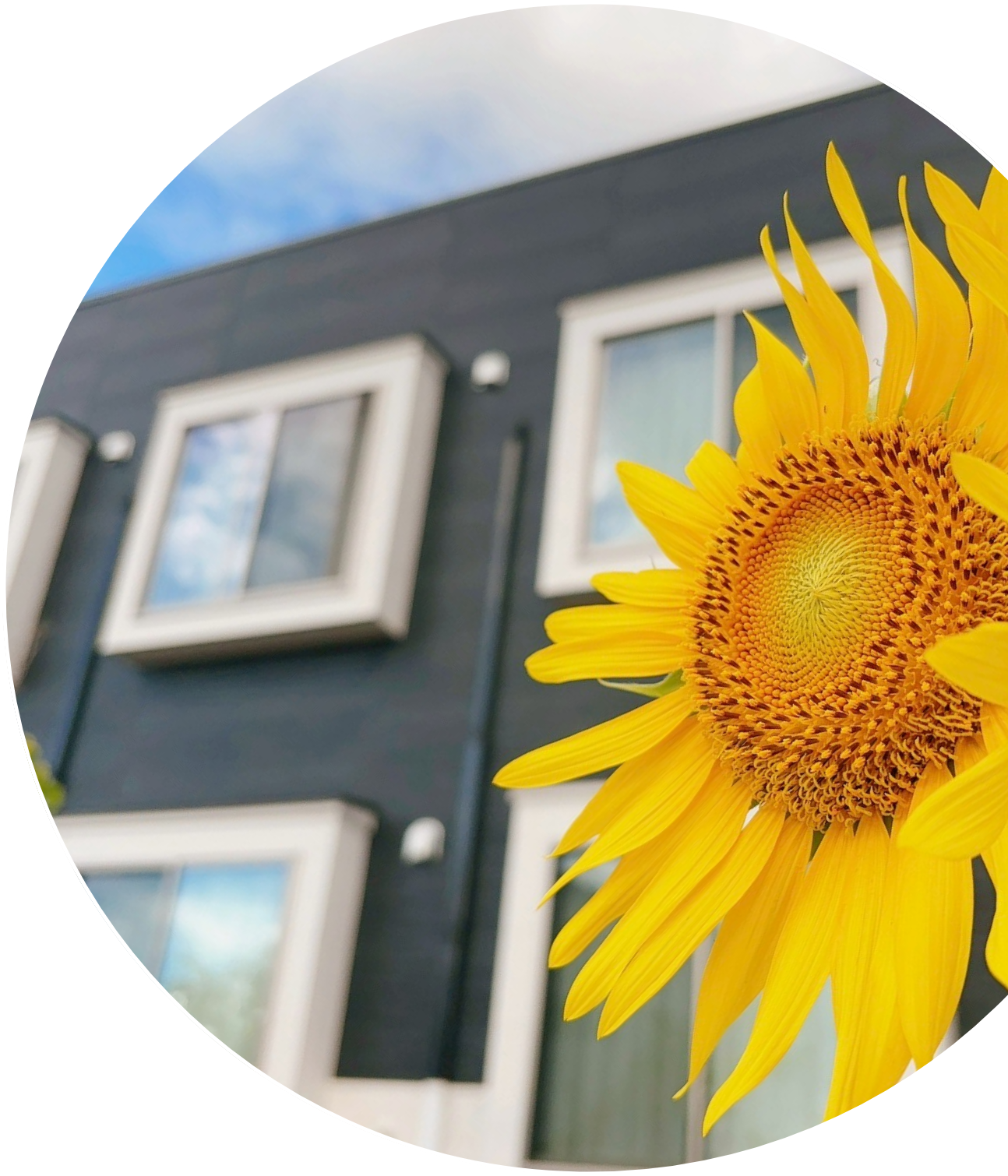 からふる園庭海津の想いイメージ画像